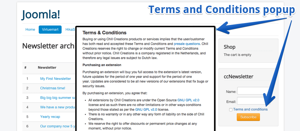 Newsletter subscription with Terms and Conditions